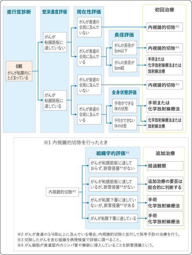 図3 食道がんの治療の選択(0期)の図