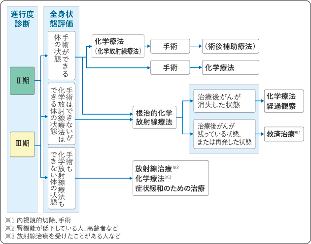 図5 食道がんの治療の選択(Ⅱ期・Ⅲ期)の図