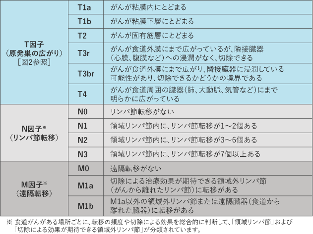 表1 食道がんのT・N・M各因子の分類(日本食道学会による分類)の表