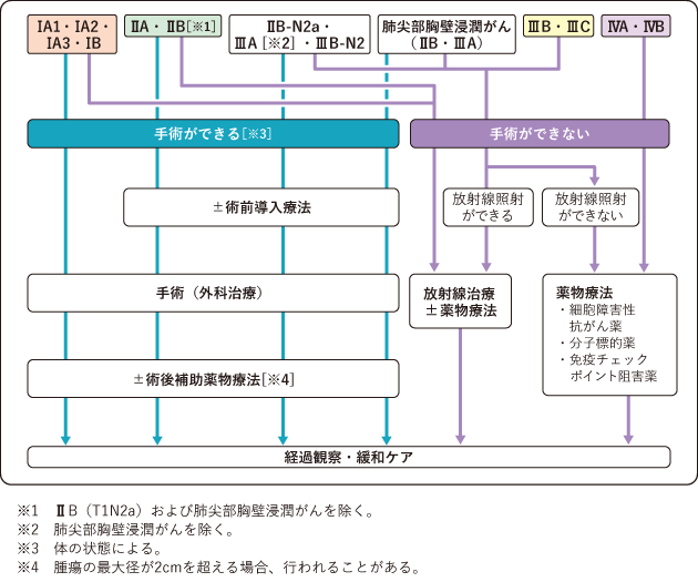 図4 非小細胞肺がんの治療の選択の図